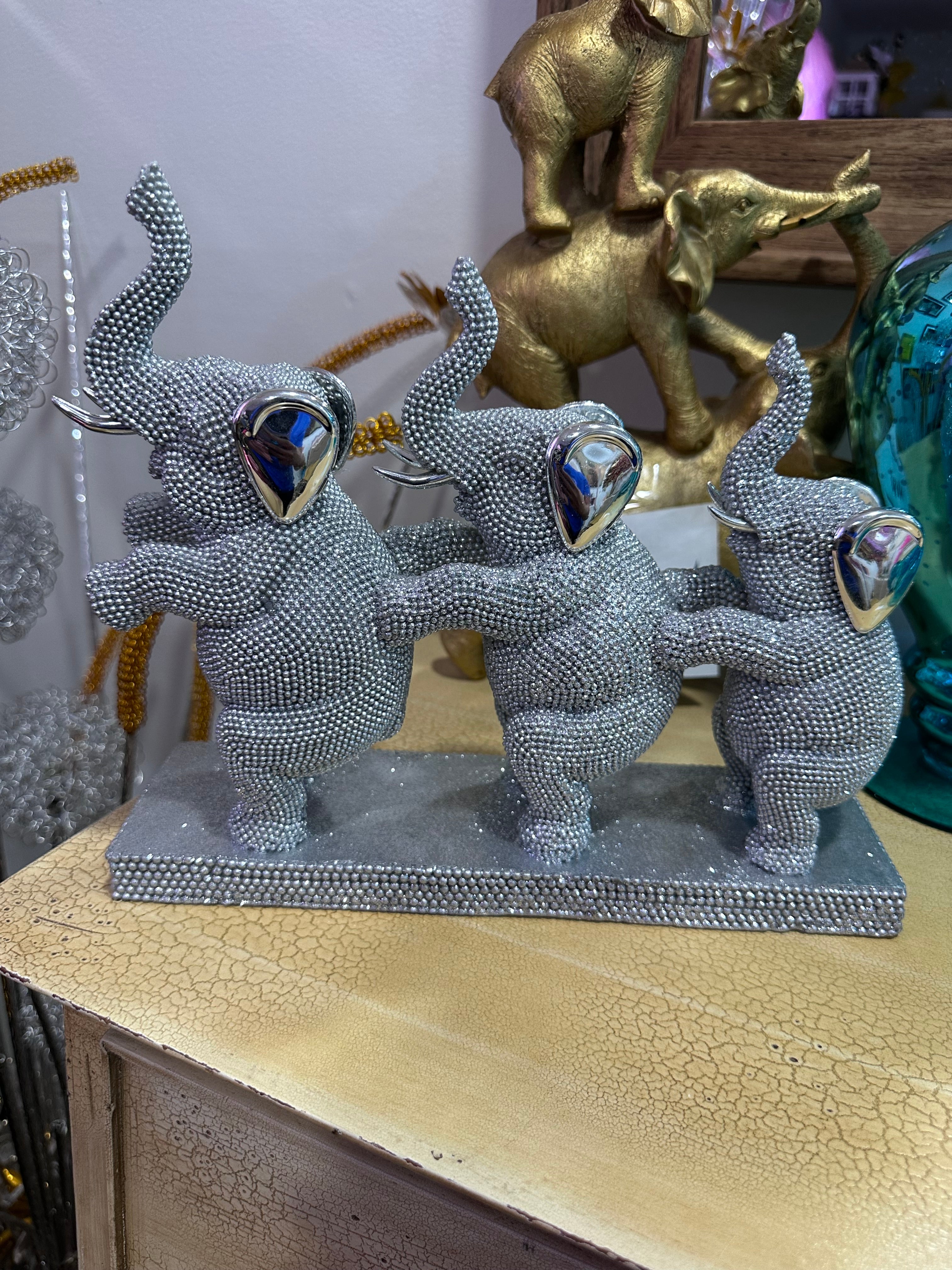 Let’s dance elephant family