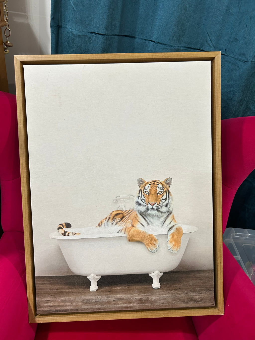 Tiger takes a bubble bath