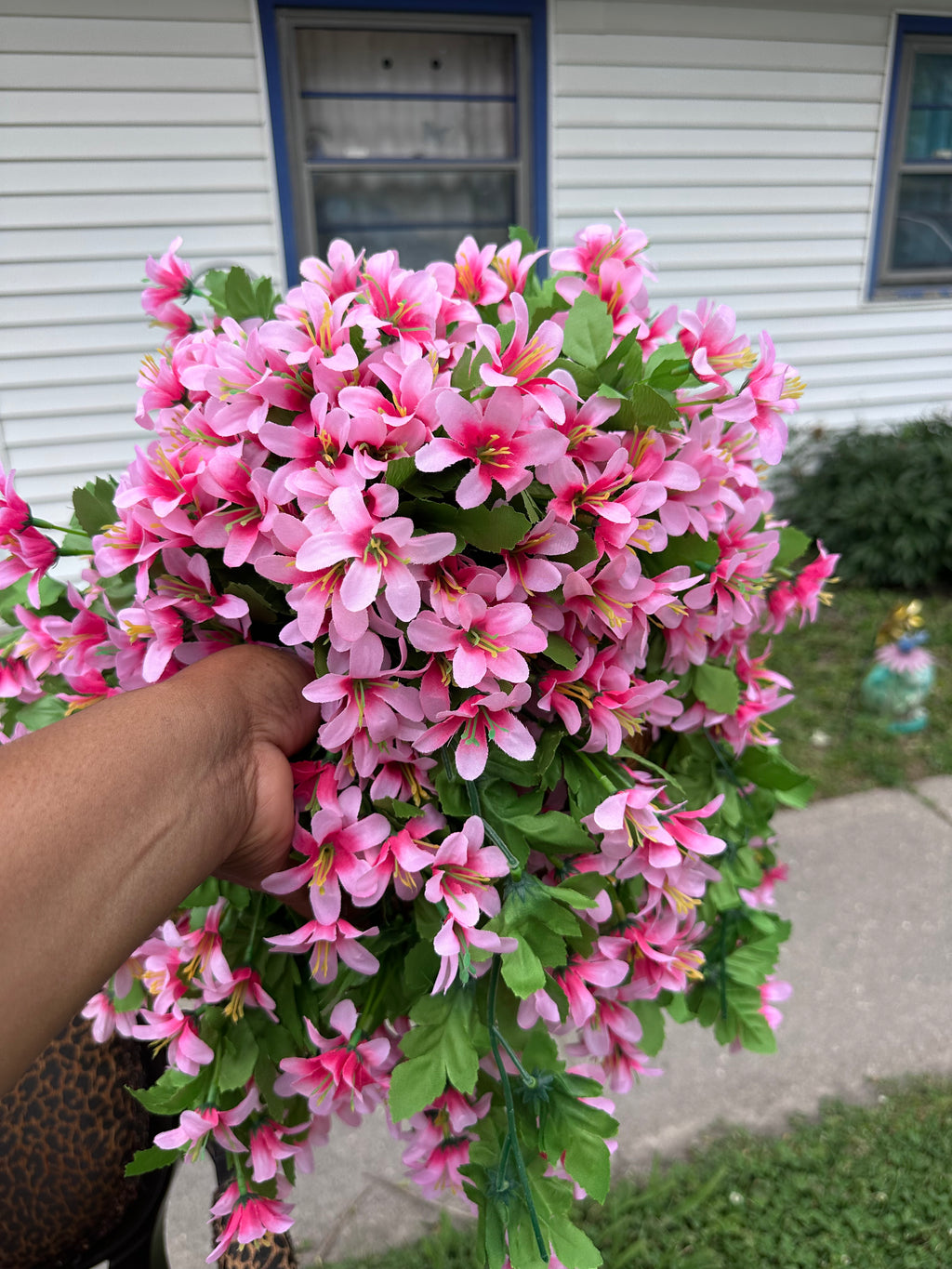 2 Pink Flowers hanging baskets $15 each